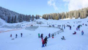 Žena doživjela šok na Igmanu, napadač pobjegao