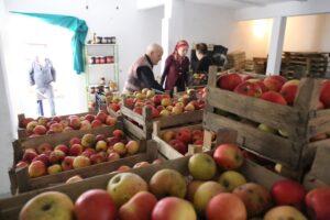 Grad Zenica nastavlja pomagati i penzionere i poljoprivredne proizvođače